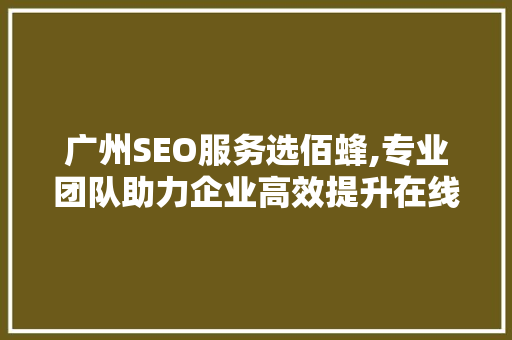 广州SEO服务选佰蜂,专业团队助力企业高效提升在线排名
