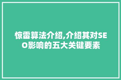 惊雷算法介绍,介绍其对SEO影响的五大关键要素