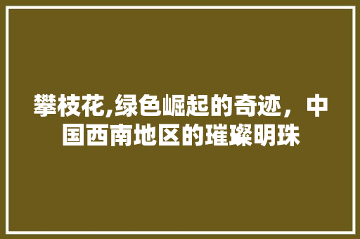 攀枝花,绿色崛起的奇迹，中国西南地区的璀璨明珠