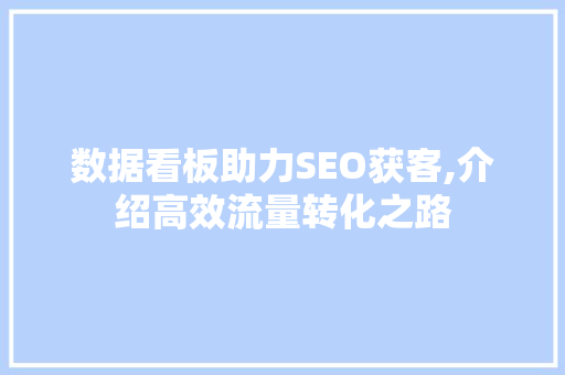 数据看板助力SEO获客,介绍高效流量转化之路