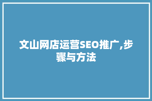 文山网店运营SEO推广,步骤与方法