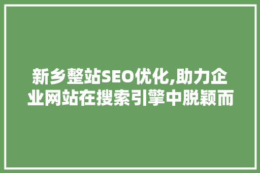 新乡整站SEO优化,助力企业网站在搜索引擎中脱颖而出