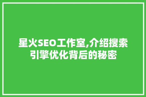 星火SEO工作室,介绍搜索引擎优化背后的秘密