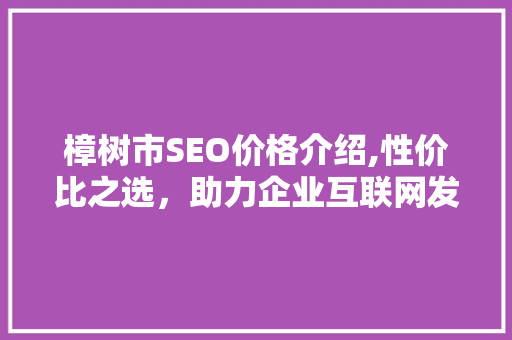 樟树市SEO价格介绍,性价比之选，助力企业互联网发展