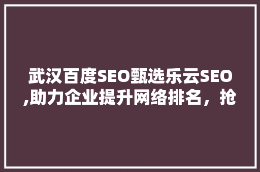武汉百度SEO甄选乐云SEO,助力企业提升网络排名，抢占市场先机