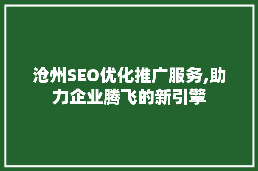 沧州SEO优化推广服务,助力企业腾飞的新引擎