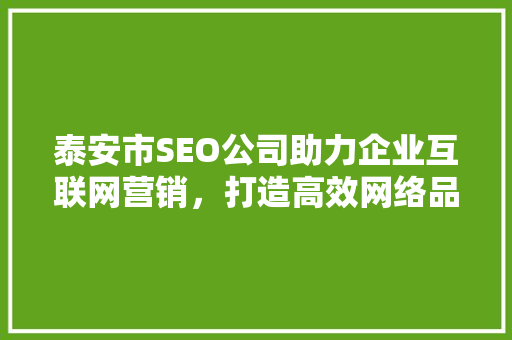 泰安市SEO公司助力企业互联网营销，打造高效网络品牌形象