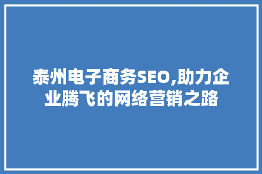 泰州电子商务SEO,助力企业腾飞的网络营销之路