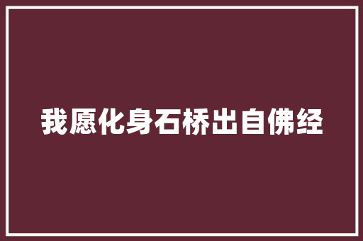 济源商丘智能SEO推广,助力企业网络营销新突破