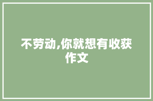 海南短视频SEO教程,打造爆款短视频，提升流量与曝光