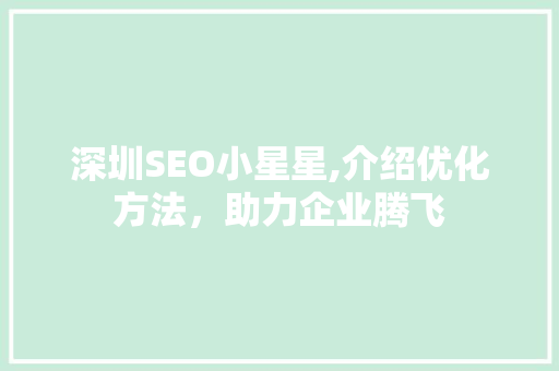 深圳SEO小星星,介绍优化方法，助力企业腾飞