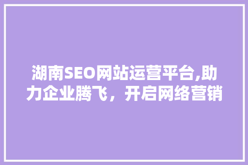 湖南SEO网站运营平台,助力企业腾飞，开启网络营销新篇章