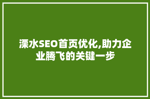 溧水SEO首页优化,助力企业腾飞的关键一步