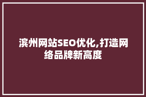 滨州网站SEO优化,打造网络品牌新高度