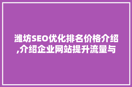 潍坊SEO优化排名价格介绍,介绍企业网站提升流量与业绩的方法