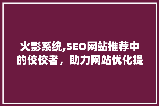 火影系统,SEO网站推荐中的佼佼者，助力网站优化提升