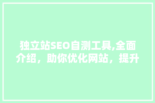 独立站SEO自测工具,全面介绍，助你优化网站，提升排名