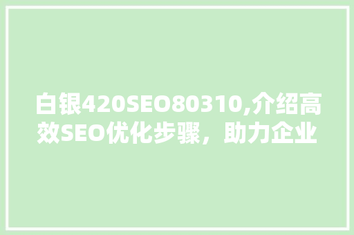 白银420SEO80310,介绍高效SEO优化步骤，助力企业互联网营销
