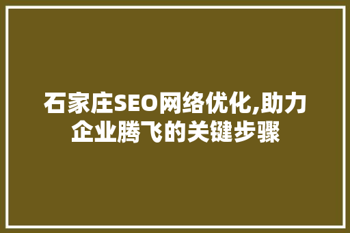 石家庄SEO网络优化,助力企业腾飞的关键步骤