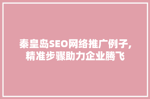 秦皇岛SEO网络推广例子,精准步骤助力企业腾飞