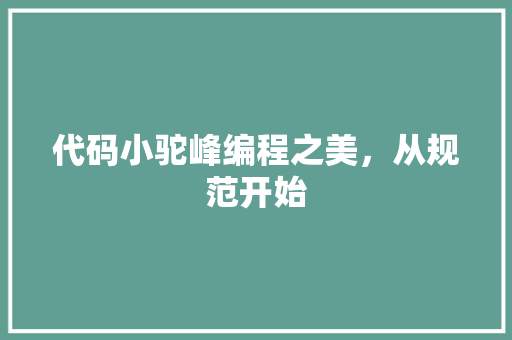 代码小驼峰编程之美，从规范开始