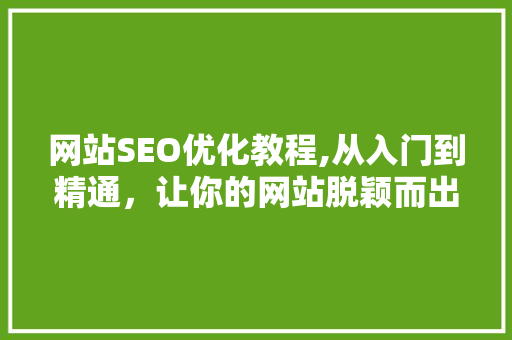 网站SEO优化教程,从入门到精通，让你的网站脱颖而出
