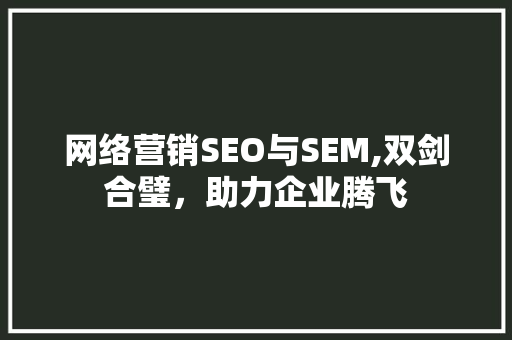 网络营销SEO与SEM,双剑合璧，助力企业腾飞
