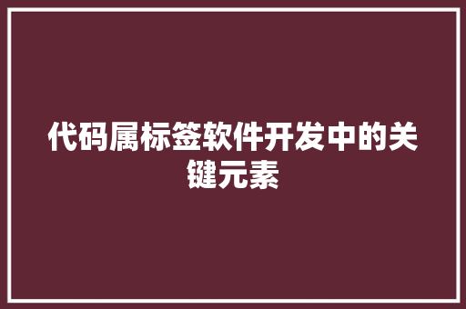 代码属标签软件开发中的关键元素