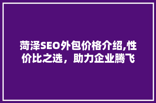 菏泽SEO外包价格介绍,性价比之选，助力企业腾飞