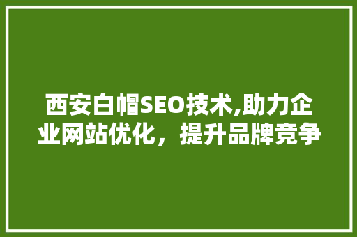 西安白帽SEO技术,助力企业网站优化，提升品牌竞争力