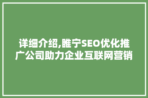 详细介绍,睢宁SEO优化推广公司助力企业互联网营销新突破