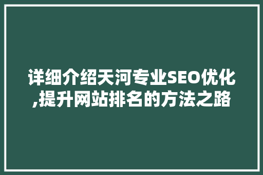 详细介绍天河专业SEO优化,提升网站排名的方法之路