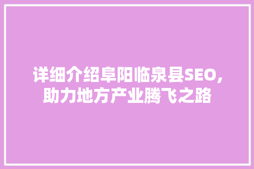 详细介绍阜阳临泉县SEO,助力地方产业腾飞之路