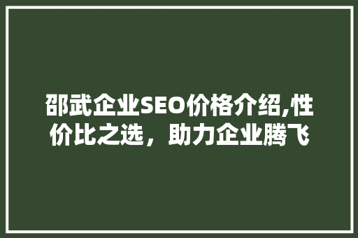邵武企业SEO价格介绍,性价比之选，助力企业腾飞
