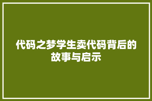代码之梦学生卖代码背后的故事与启示