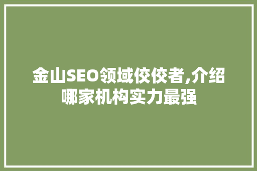 金山SEO领域佼佼者,介绍哪家机构实力最强