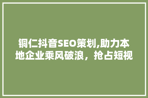 铜仁抖音SEO策划,助力本地企业乘风破浪，抢占短视频营销新高地