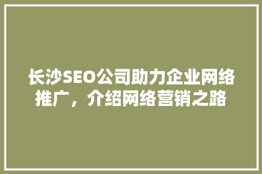 长沙SEO公司助力企业网络推广，介绍网络营销之路