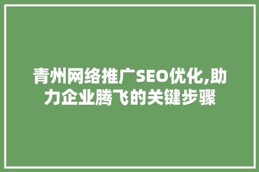 青州网络推广SEO优化,助力企业腾飞的关键步骤