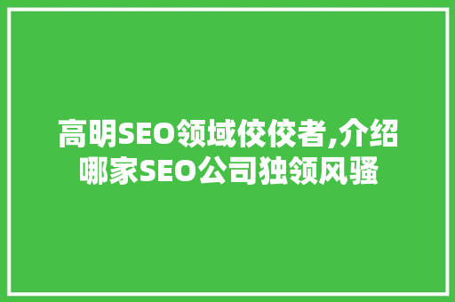 高明SEO领域佼佼者,介绍哪家SEO公司独领风骚