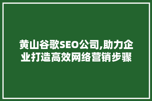 黄山谷歌SEO公司,助力企业打造高效网络营销步骤
