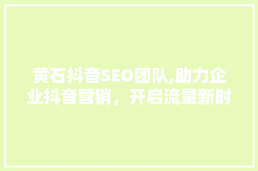 黄石抖音SEO团队,助力企业抖音营销，开启流量新时代
