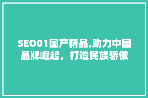 SEO01国产精品,助力中国品牌崛起，打造民族骄傲