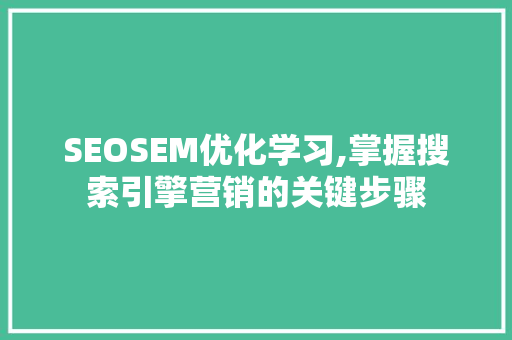 SEOSEM优化学习,掌握搜索引擎营销的关键步骤
