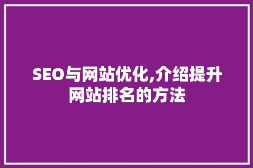 SEO与网站优化,介绍提升网站排名的方法