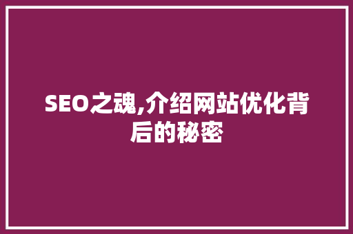 SEO之魂,介绍网站优化背后的秘密