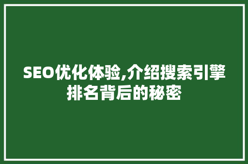 SEO优化体验,介绍搜索引擎排名背后的秘密