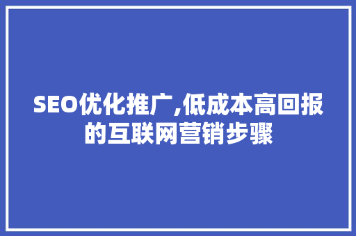 SEO优化推广,低成本高回报的互联网营销步骤