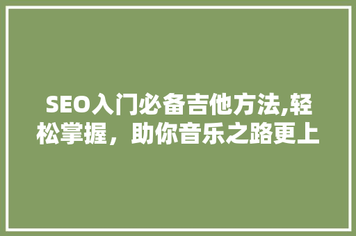 SEO入门必备吉他方法,轻松掌握，助你音乐之路更上一层楼