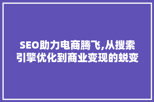 SEO助力电商腾飞,从搜索引擎优化到商业变现的蜕变之路